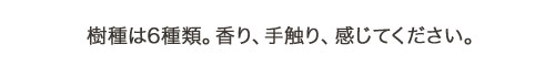 樹種は6種類。香り、手触り、感じてください。